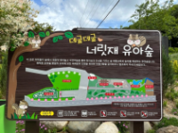 너릿재유아숲체험원