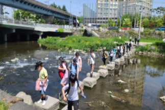 광주천 생태체험 이미지