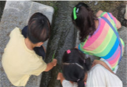 광주천 생태체험 이미지