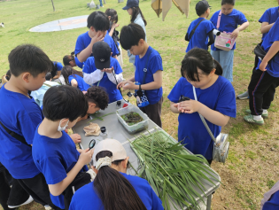 영산강에서 놀아요 이미지