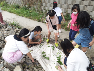 하천 생태학습 이미지