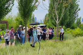 아시아의 자연과 정원 이미지